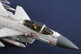 TRUMPETER Chinese J-10 C Fighter 01698 - 1/72