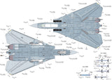 FineMolds US NAVY F-14A Top Gun FP36-/72